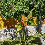 Uzumlu Village 1 Bedroom With Private Garden And Pool וילה