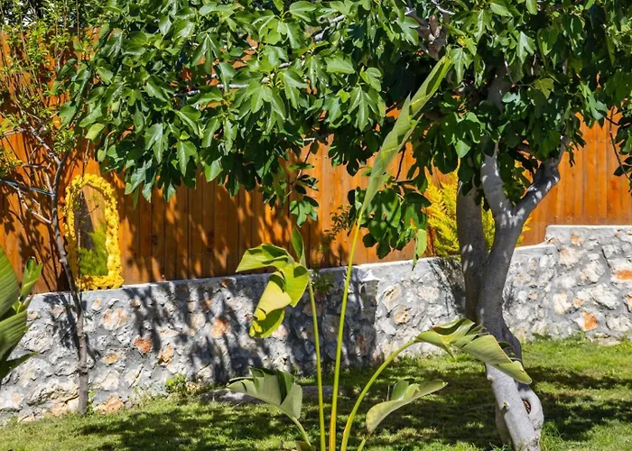 Uzumlu Village 1 Bedroom With Private Garden And Pool Villa